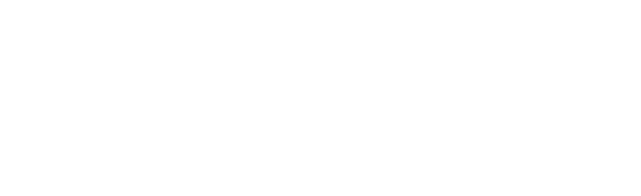 l.m plastering and painting and decorating. logo upscaled white